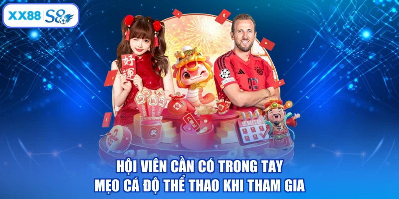 Hội viên cần có trong tay mẹo cá độ thể thao khi tham gia