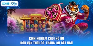 Kinh Nghiệm Chơi Nổ Hũ - Đón Vạn Thời Cơ, Thắng Lợi Bất Ngờ